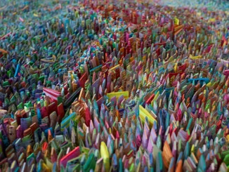 Seed universe3 132X164X12cm 2015 details