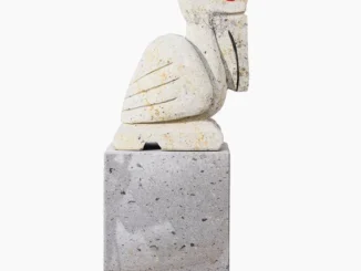 Webp.net resizeimage17 1