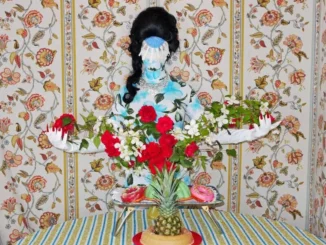 KT MEATFACE DEMURE DEBUTANTE RS