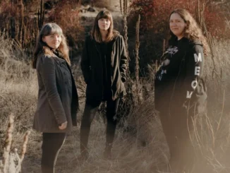 LilaStreicher 3 square