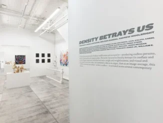 Gallery1RS
