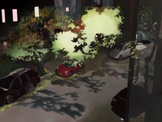 5.lantern fly graveyard