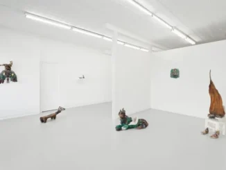 NP likeyuhnevalefyaad installation view 004