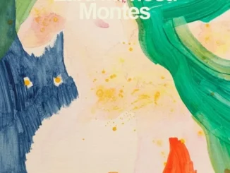 montes the time of the novel cover RS