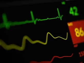 joshua chehov beXUIzvxW Q unsplash RS