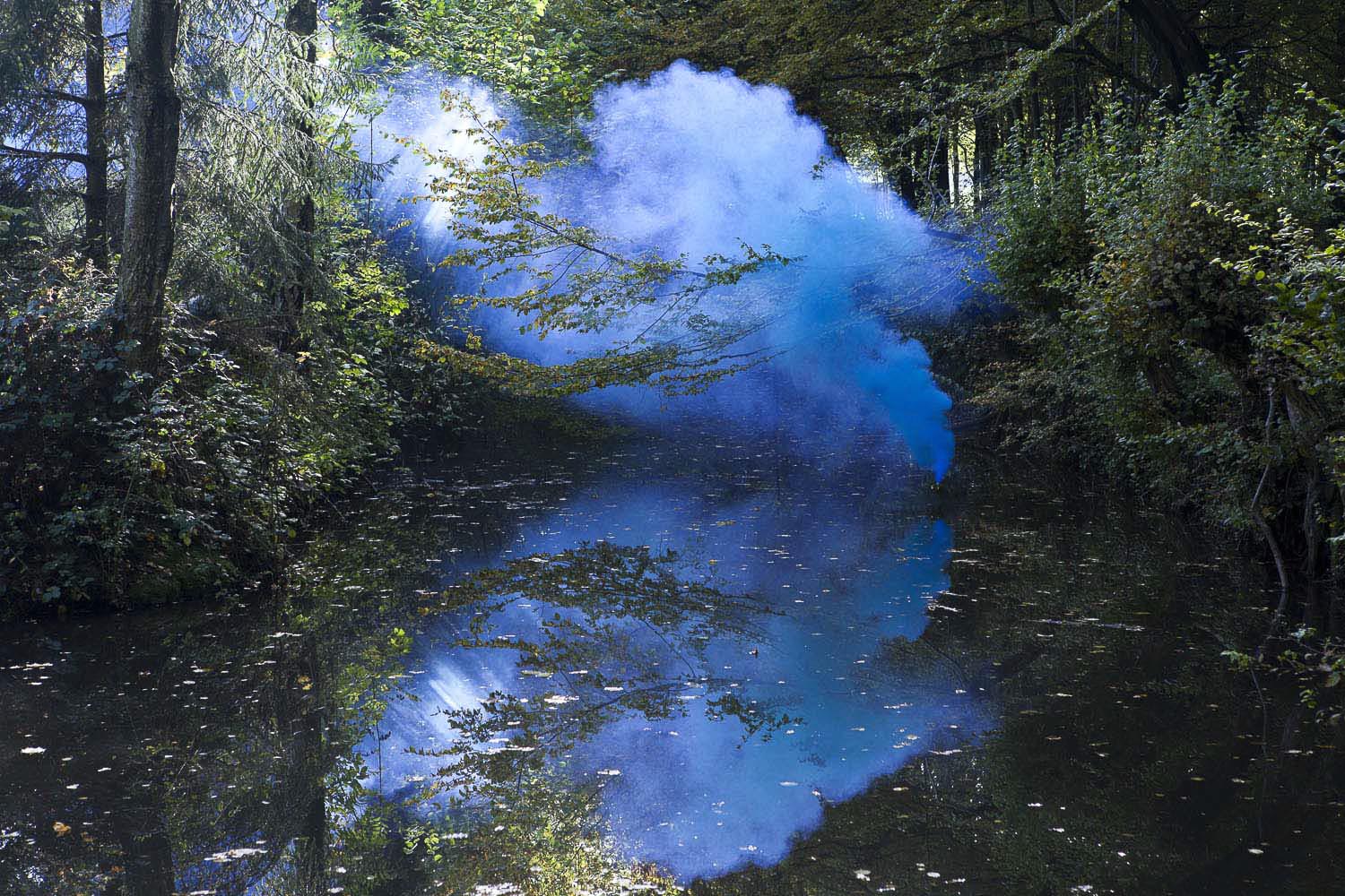 From the series The Blossom Project