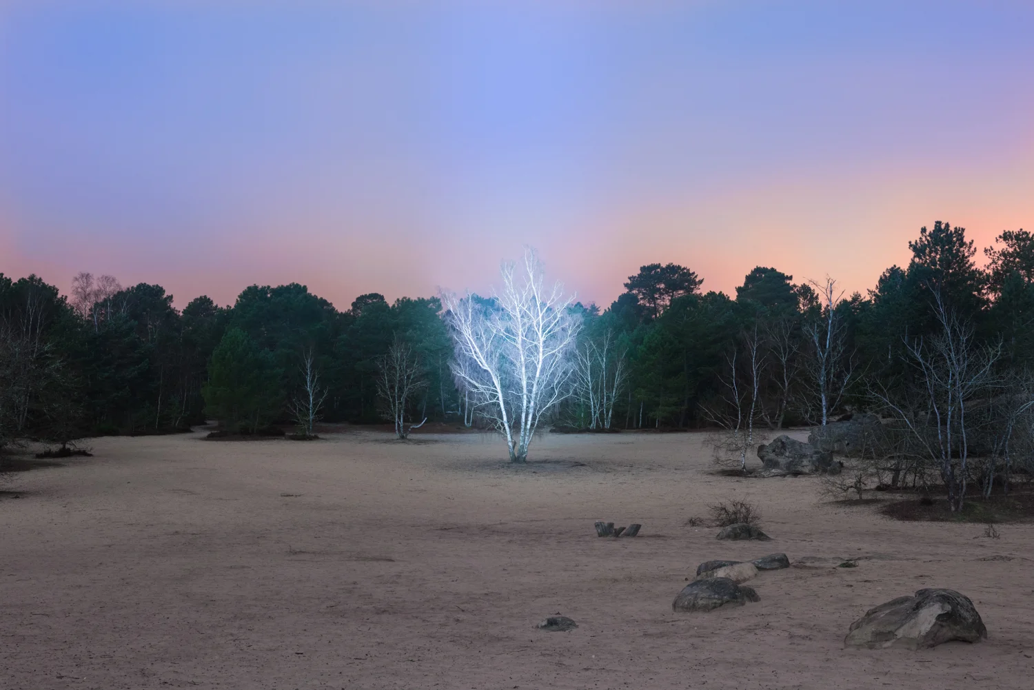 From the series Marche Céleste