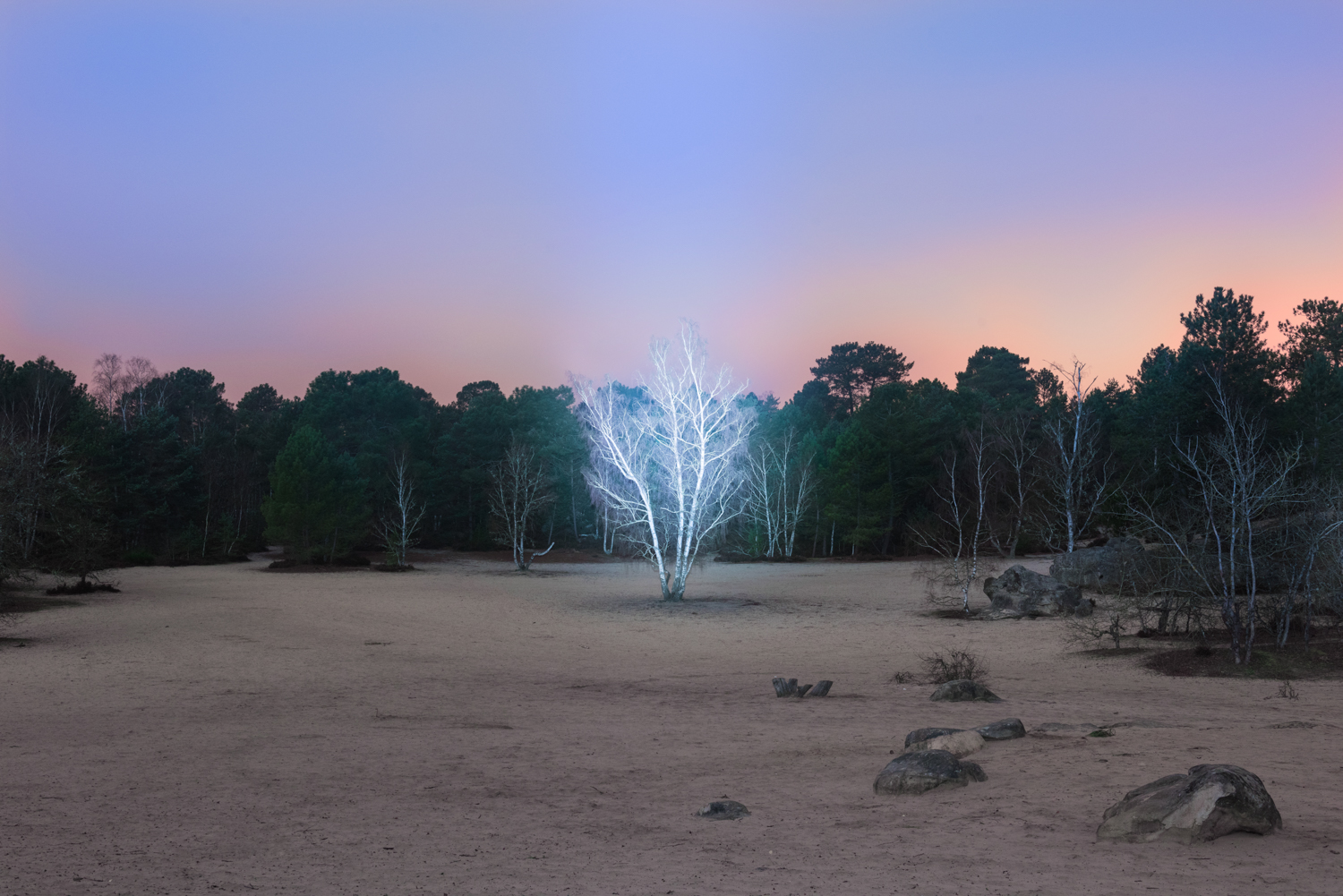 From the series Marche Céleste