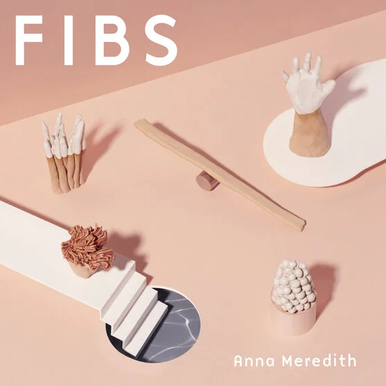 FIBS (Moshi Moshi / Black Prince Fury, 2019)