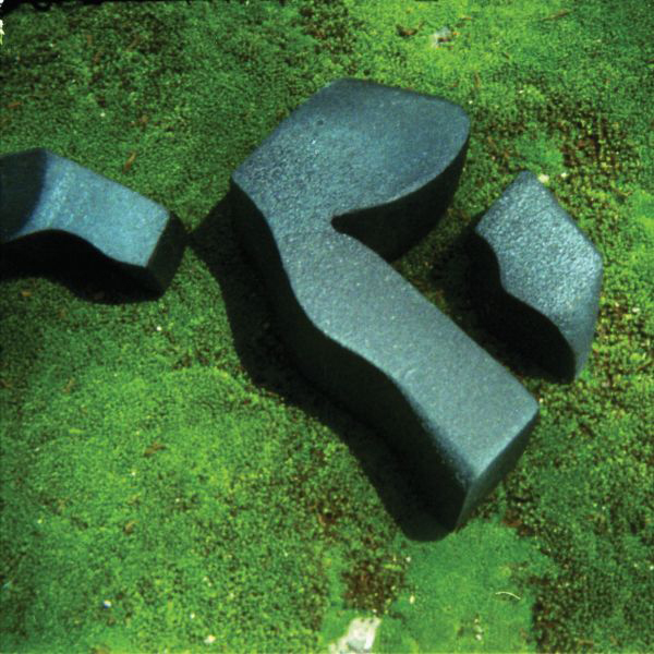 Heart Pressed Between Stones (ATP Recordings, 2018)