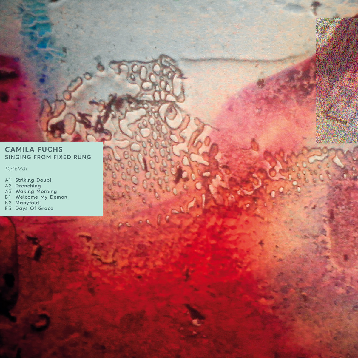 Singing From Fixed Rung (Schamoni Musik, 2016)