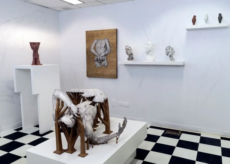 install_relief_shelves copy 2-RS.jpeg