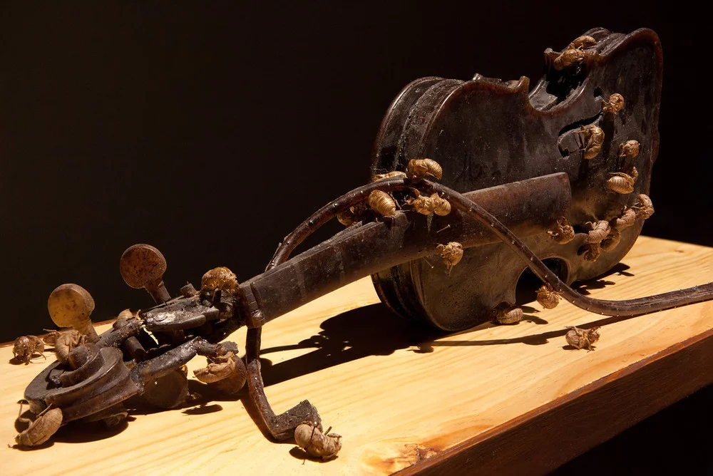 “The Blood That Runs Through Your Veins Is The Same That Runs Through Mine”