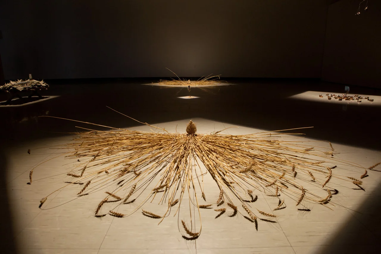 “Breaking in the Field”