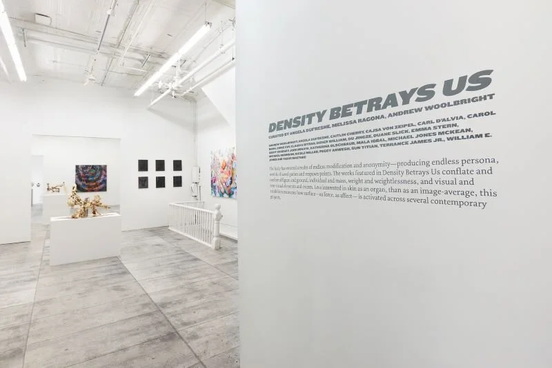 Density Betrays Us - group exhibition at NYC’s The Hole gallery in Tribeca