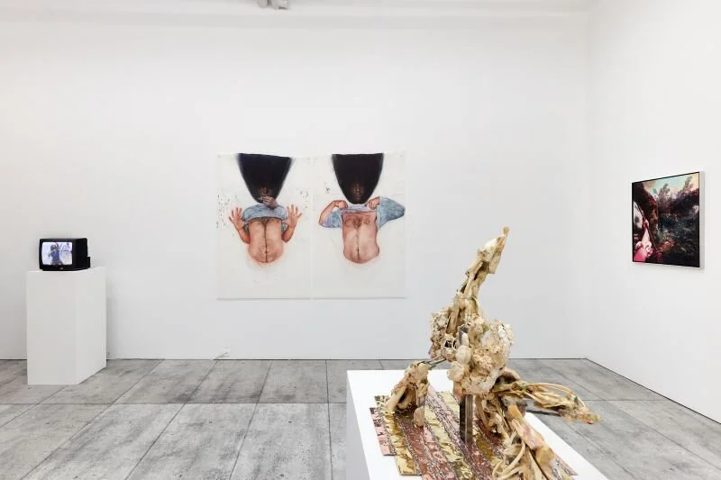 First room of exhibition, with works including (from left to right) Claudia Bitran’s “Be Drunk,” (TV screen) Geoffrey Chadsey’s “Goat Twister 1 &amp; 2,” (middle wall) and Chris Coy’s “Wilma’s Rainbow 1” (right wall)