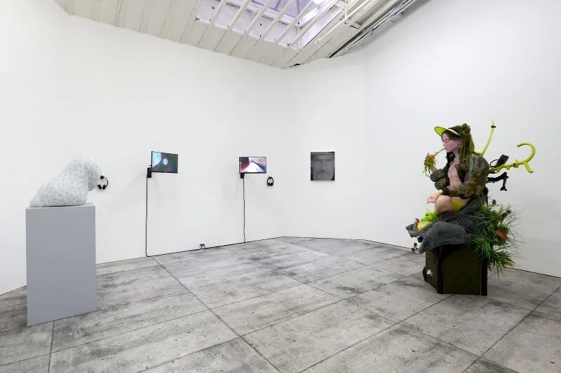 Back room of exhibition, with works including Carl D’Alvia’s “Fortunato", (left) Peggy Ahwesh’s video installations (center), and Cajsa Von Zeipel’s “Friends of Grapefruit” (right)