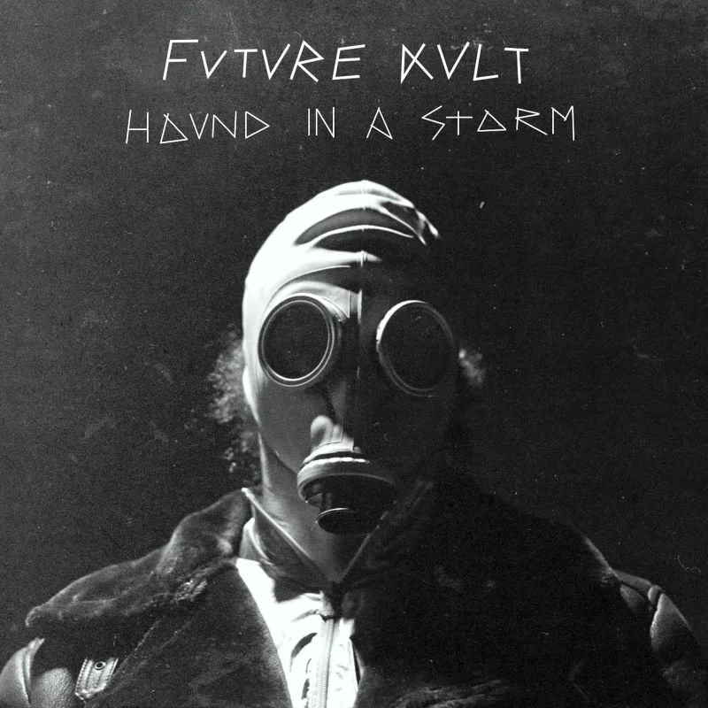 HoundinaStorm SingleArt