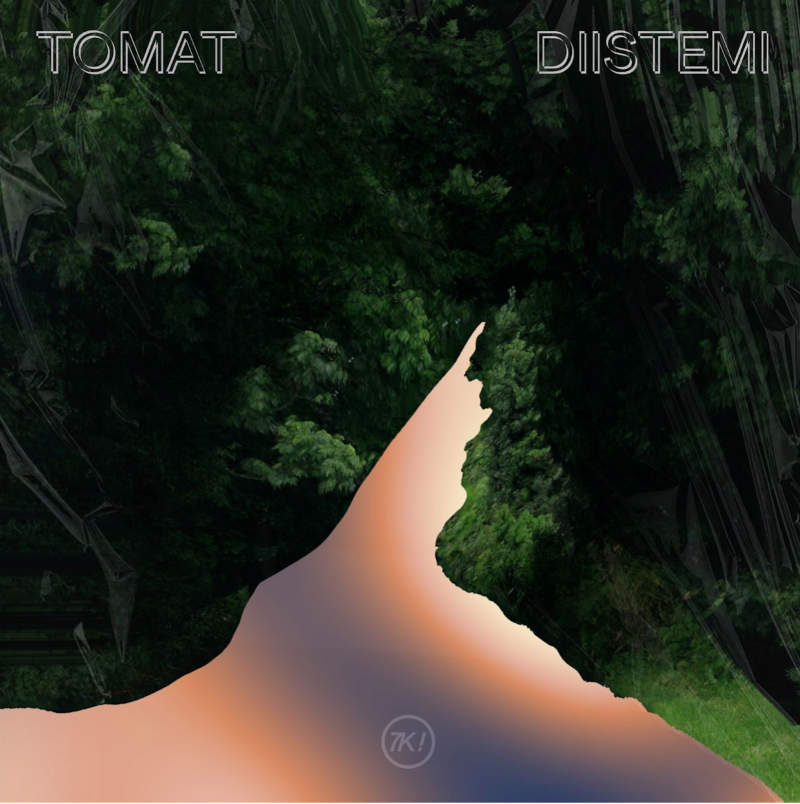TOMAT Diistemi Cover-RS.png