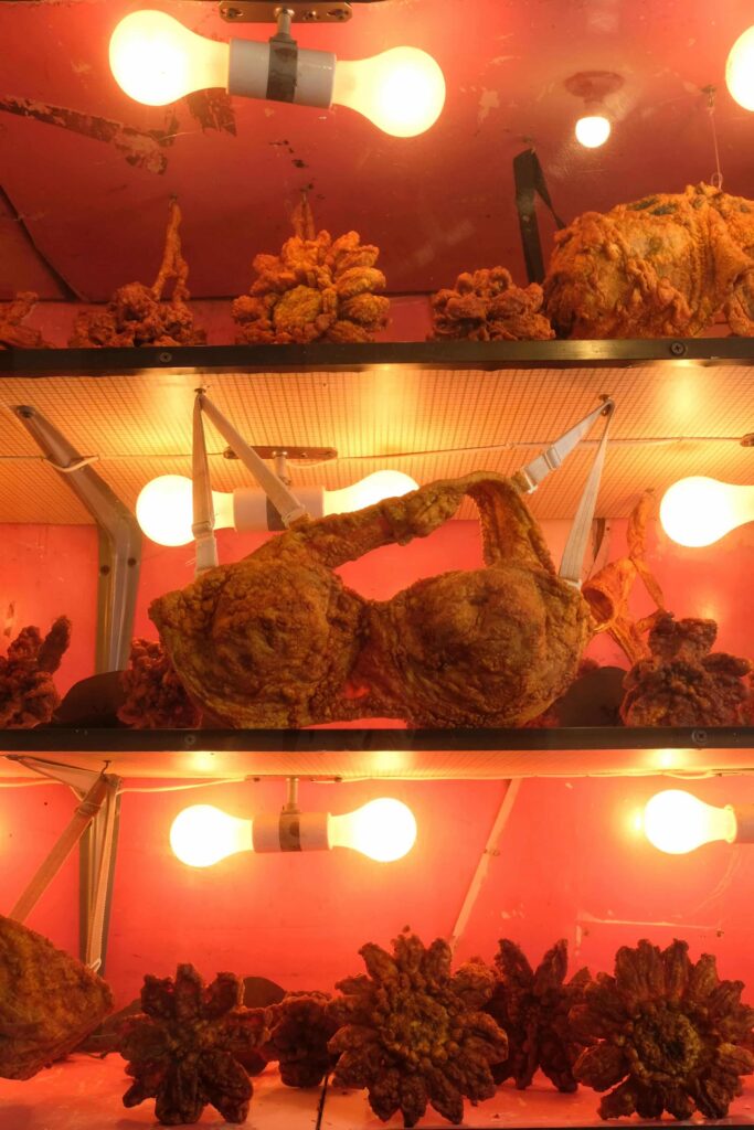 Fried Objects2