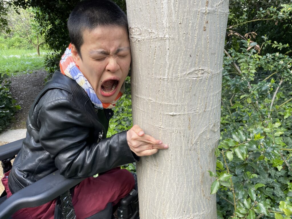 NO ANGER TREE